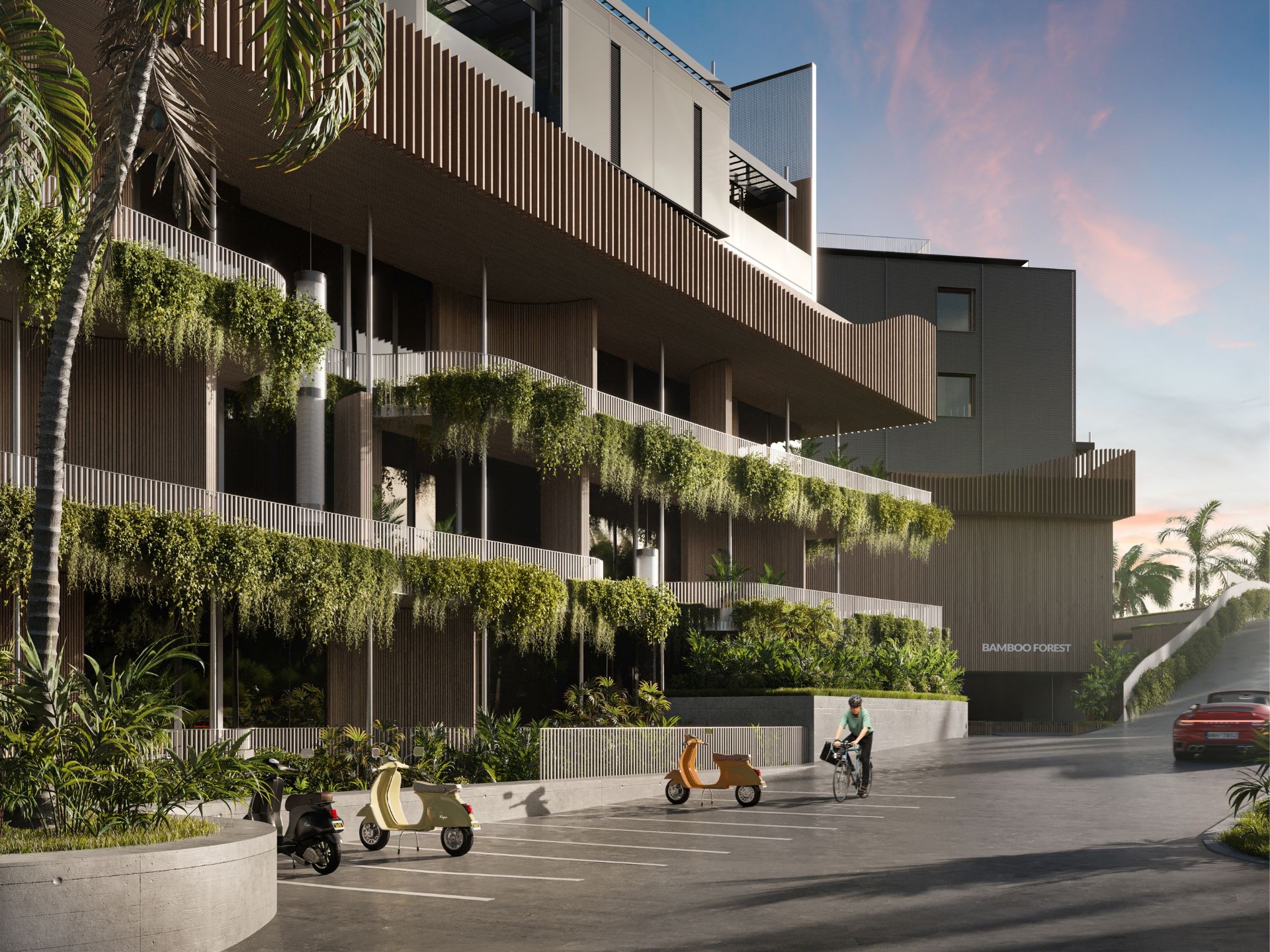 Bamboo Forest | Studio