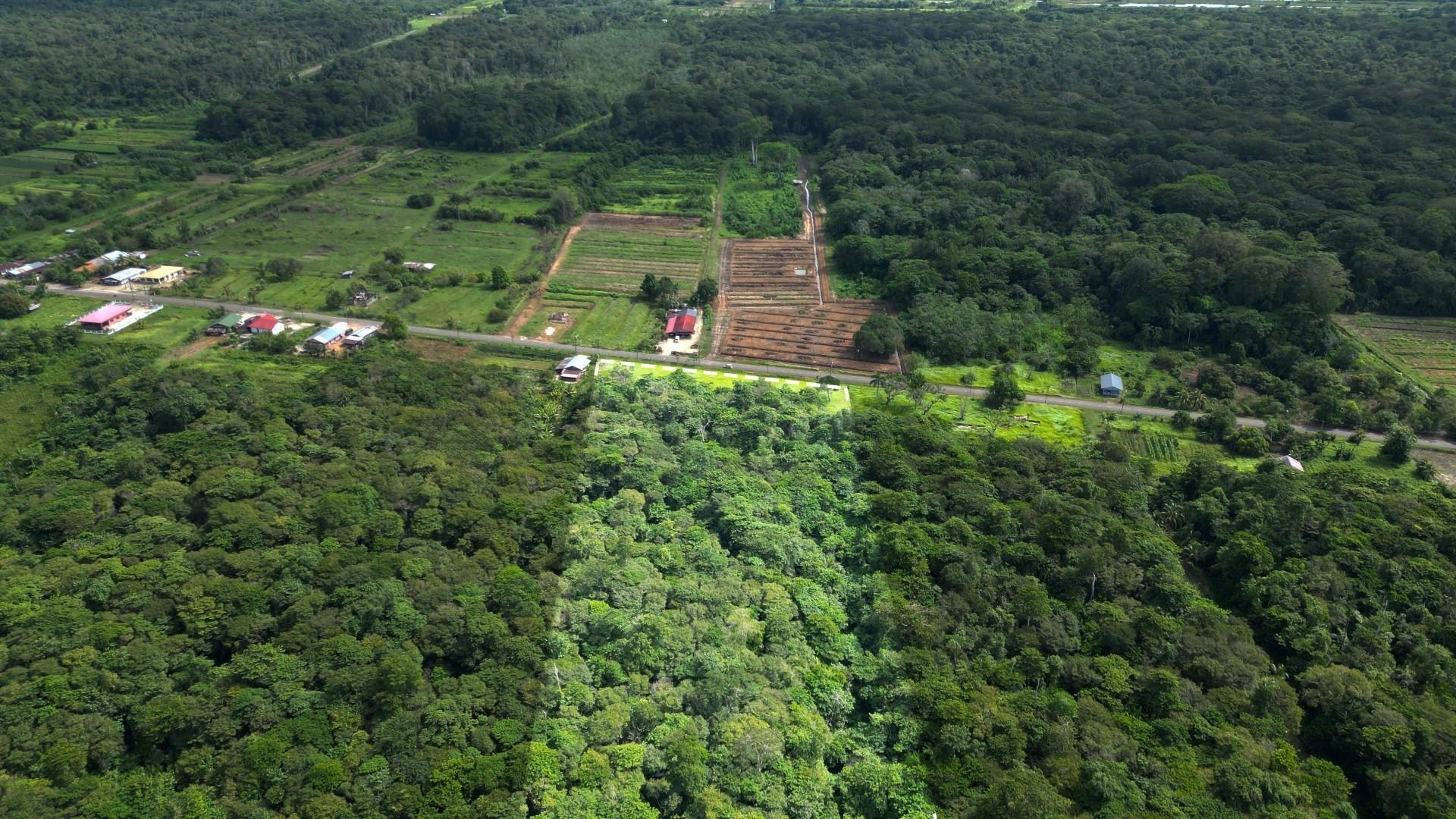 Gigantyczna Inwestycja Gruntowa – 6 Hektarów w Saramacca!