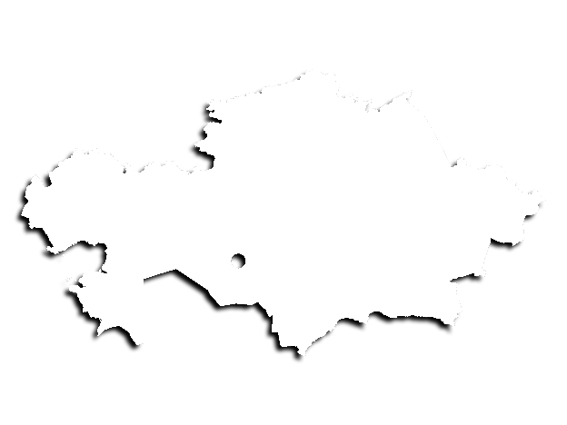 Казахстане